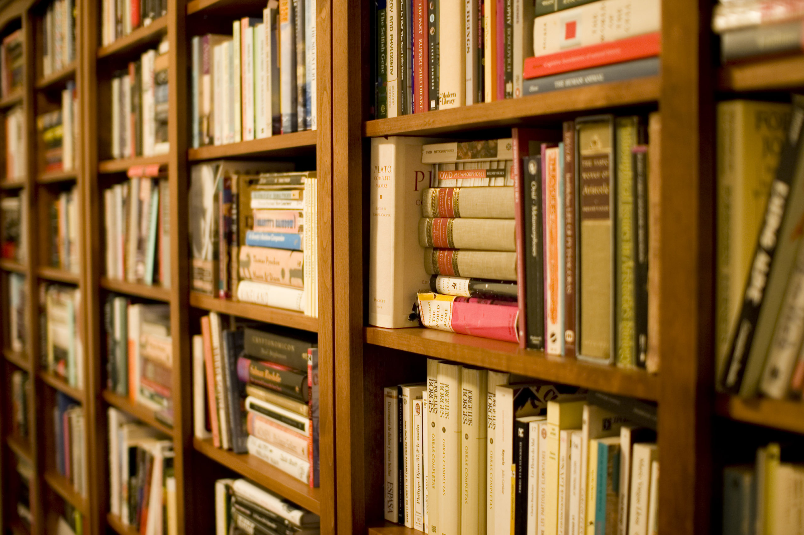 Library books on shelves - Stewart Butterfield